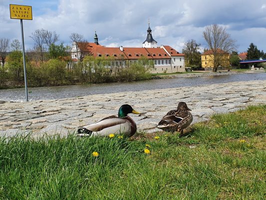 Na procházce | foto: Zorka Fröhlichová - 4 roky | 2. místo kategorie 1 (0 - 12 let)
