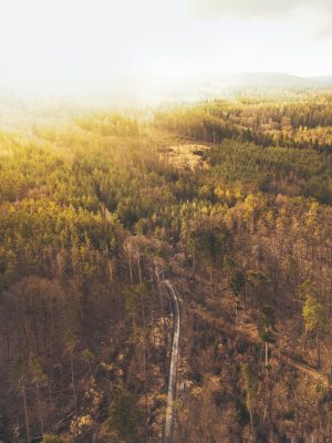 Cestou na Hvíždinec | foto: Alex David Dvořák