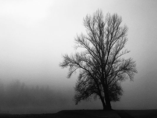 Sám | foto: Jindřich Hurych