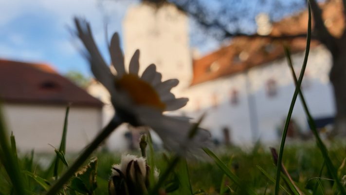 Zámek a květina | foto: Ondřej Kaša