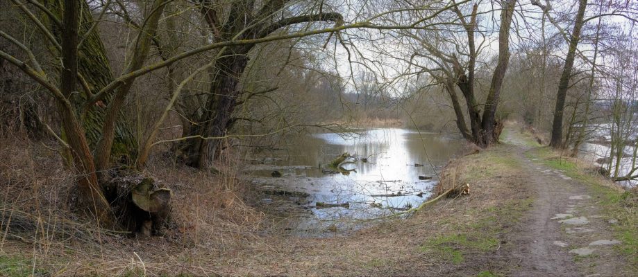 Tůň | foto: Oldřich Matoušek