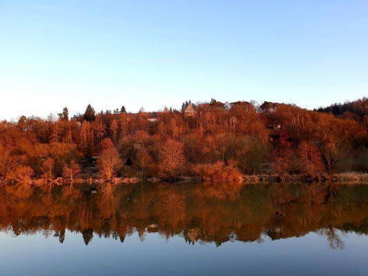 Červený les | foto: Rozálie Králová