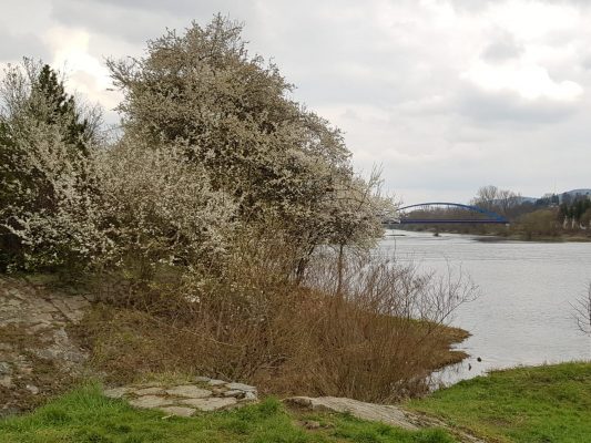Pohled od řeky | foto: Libuše Černá